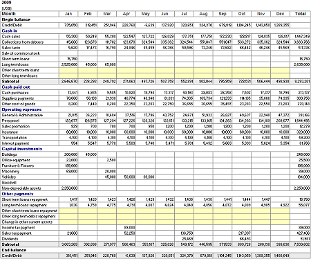 Cash Flow Forecast