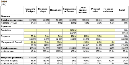 Non Profit Revenue Analysis