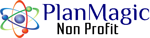 Non Profit Business Plan Experts